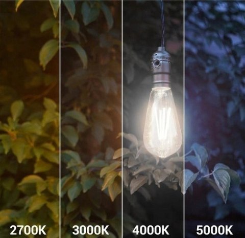 Żarówka LED ST64 E27 Filament 4000K 4W retro vintage typ Edison barwa neutralna Żarówka LED ST64 E27 Filament 4000K 4W retro vintage typ Edison barwa neutralna